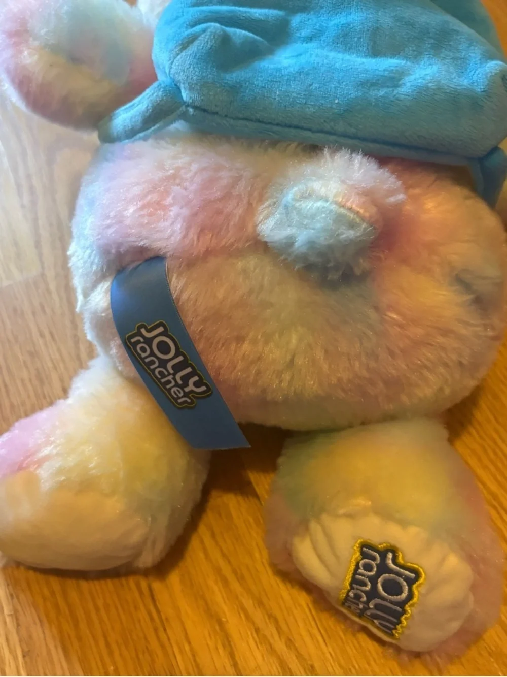 Jolly Rancher Pastel Rainbow Plush Bear with Blue Book Bag Scarf Backpack